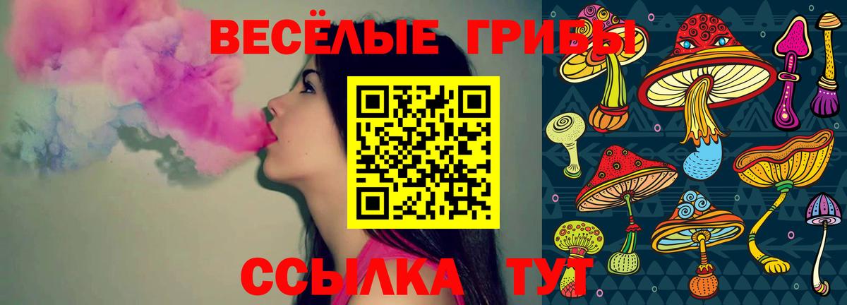 Галлюциногенные грибы Psilocybine cubensis Рязань