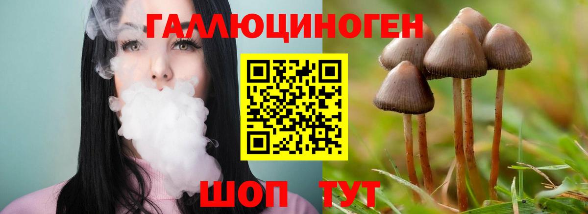 Рязань  Галлюциногенные грибы мухоморы  Вход с VPN 